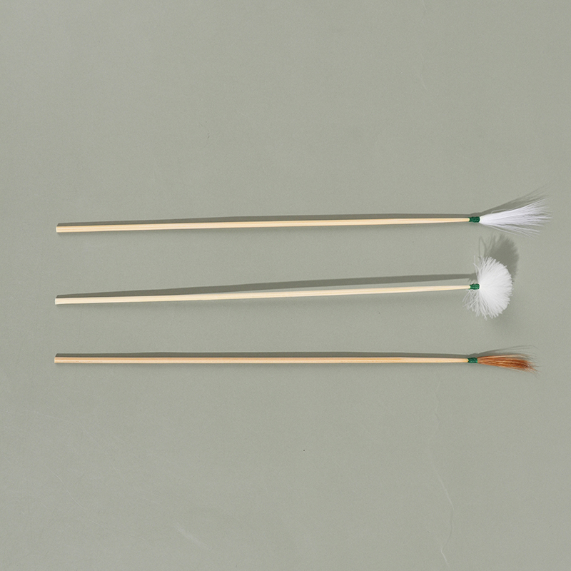 10Pcs Bamboo Feather Earpick Wax Remover Curette Ear Dig Spoon Cleaner St-qk - Bild 2 von 15
