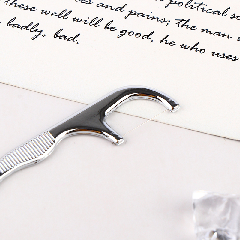 Stainless Steel Toothpick Dental Floss Reusable Flossing Holder Teeth Clean; F5 eBay