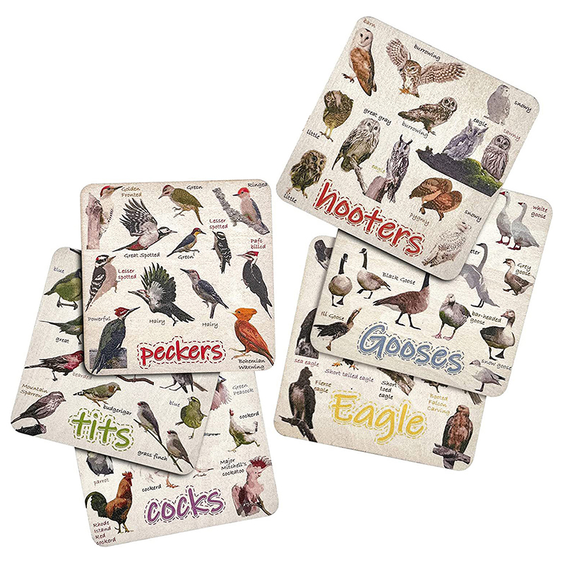Set of 6 Bird Pun Coasters, Bird Pun Coasters for Drinks, Square Coaster Set GF - Picture 7 of 11