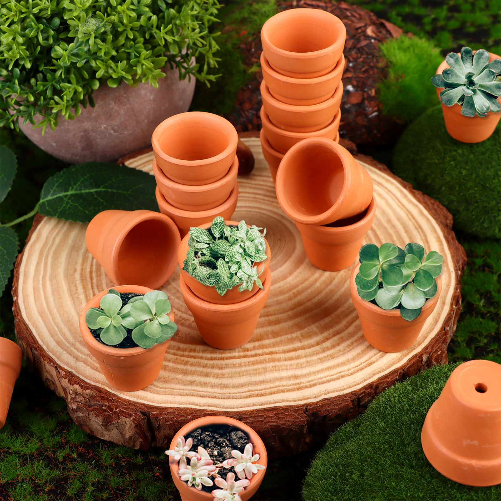 30 Pcs Mini Terracotta Pot Clay Pottery Planter 1.2 Inch Mini Clay Planter T GF - Picture 7 of 7
