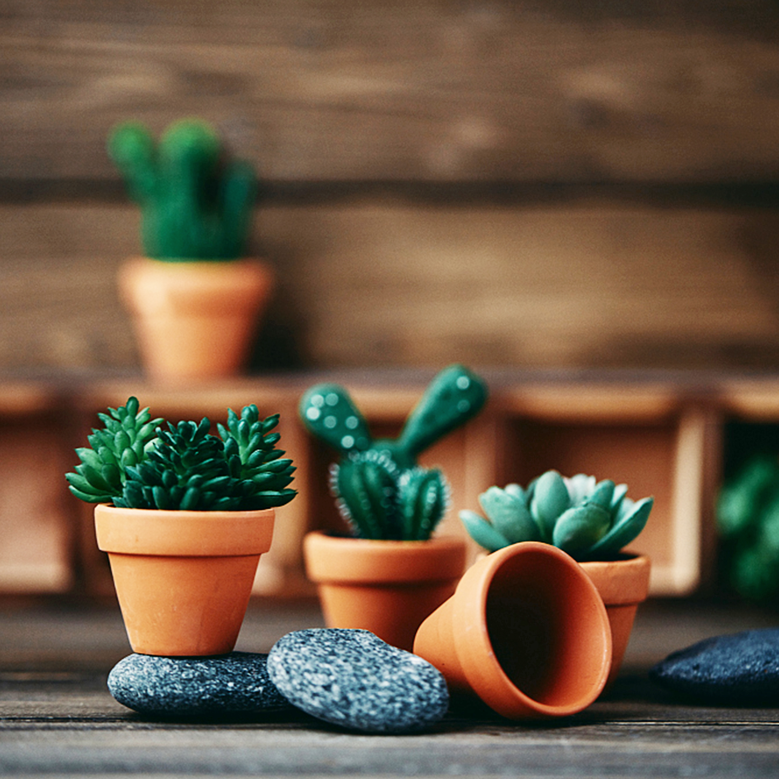 30 Pcs Mini Terracotta Pot Clay Pottery Planter 1.2 Inch Mini Clay Planter T GF - Picture 4 of 7