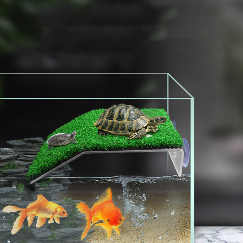 Aquariums Basking Platform Acrylic Turtle Island Fish Tank