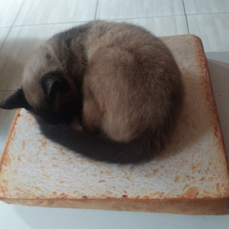 Bread bed for cats sale