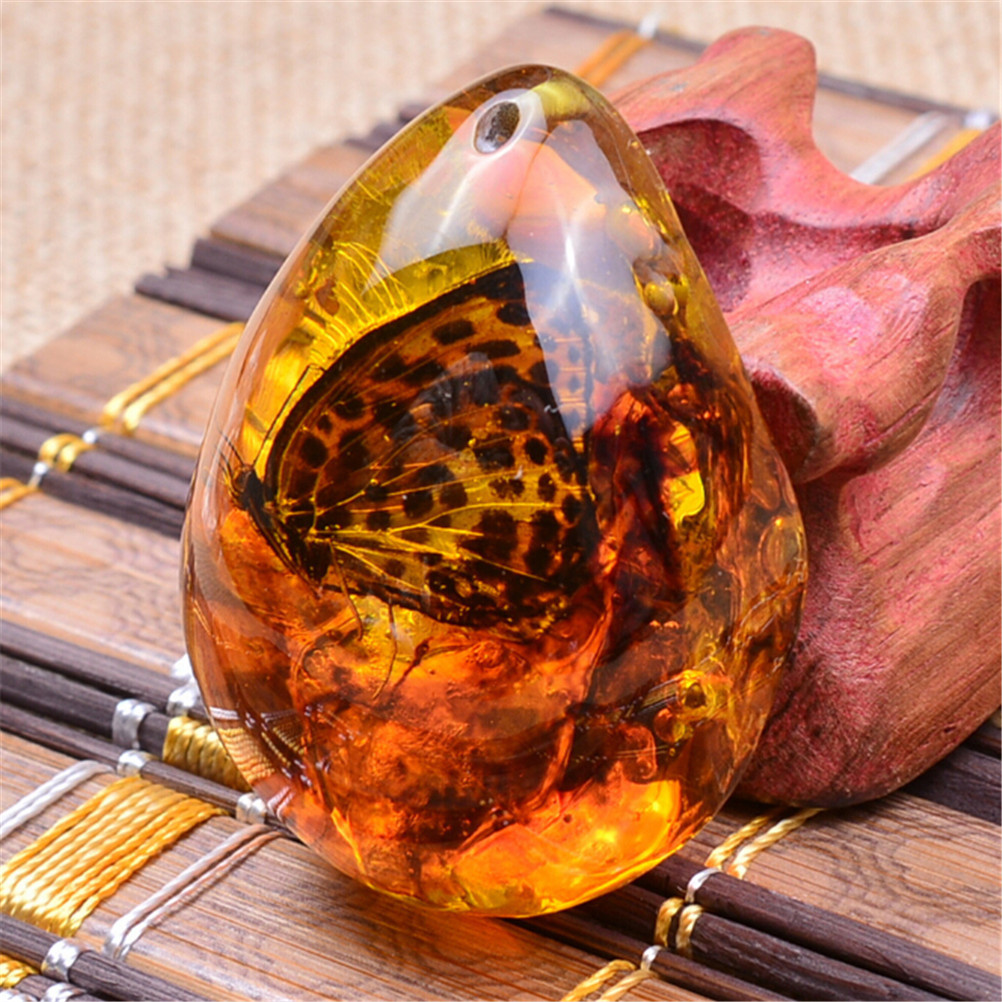 Amber insect hotsell necklace
